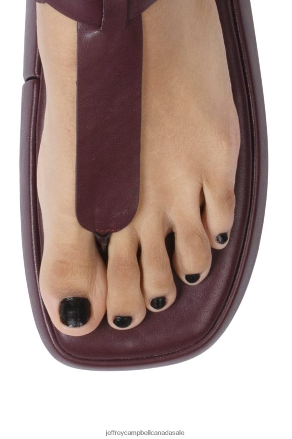 AMOZONIA Women Wine PLRNJH238 Jeffrey Campbell Sandals